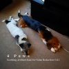 Music for Relaxing Cats、Music For Sleeping and Relaxation、Binaural Bob《Great Rain Sound to Relax》[MP3/LRC]