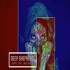 Deep Shepherd - Age Of Magic (Original)( Mix)