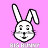 Big Bunny - Saltation (21 ROOM Remix)