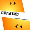 Anupama Reddy - Diversity Of Light (Original Mix)