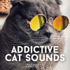 Relaxing Pet Music、Songs for Dogs to Sleep To、Music For Dogs - Good Timbre