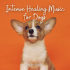 Dog Music Zone、Calm Pets Music Academy、Coffeehouse Lounge - Chilling Out Melody