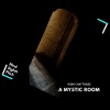 Ridhi Chatterjee《A Mystic Room (Original Mix)》[MP3/LRC]