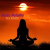 Meditacion profunda《Relaja Tus Sentidos》[MP3/LRC]