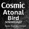 saulo ferreira - cosmic atonal  bird sosfreejazz