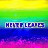 Dambus - Never Leaves