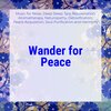 Melodious Blissful Healing Therapies - Reaching Out To The Celestial World (Original Mix)