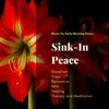 Calm Easy Mindful and Mellow Healing Music、Serene Deep Sleep Ambient Music - Hailstorm (Original Mix)