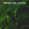 Sonidos De Lluvia y Tormentas、Música Para Dormir Rápido、101 Ruido - Reunión De Llovizna