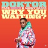 Doktor、Serum、Agent Sasco (Assassin)《Why You Waiting?》[MP3/LRC]