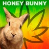 Honey Bunny《K2 (Original Mix)》[MP3/LRC]