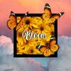 Dedo - Bloom (Explicit)