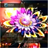Juani Ramirez、Aurel Den Bossa、Ias Ferndale - Sparkles of Light (Ias Ferndale & Aurel Den Bossa Remix)