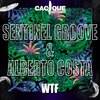 Sentinel Groove、Alberto Costa - Wtf