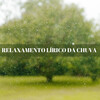 Sons de trovão e chuva、Fábrica de Calma、Música Calmante Para Cães - Assunto Quieto
