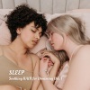 Sleep Study Focus、Soft Jazz Romance、Healing Meditation Relaxing Music Channel - Rain Drizzle Birds