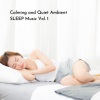 The Sleep Phasers、Jazz Lento、Sleep Alpha Waves - Brain Synchronization Meditation