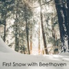 Wilhelm Kempff、Berliner Philharmoniker、ferdinand leitner - II. Adagio un poco mosso