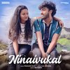 Prakash Alex、Lal Krishna - Ninaivukal