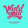 Joey Tuckshop - Old Walk (Short Version)