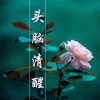 KANJIAN疗愈_静心助眠 - 美丽心灵
