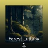 Forest Lullaby、Study Energy - Cosy place