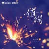 张茜 - 值得 (真心版)