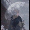 花生 - 武家坡2021