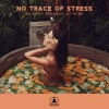 Mindfulness Meditation Music Spa Maestro - No Trace of Stress