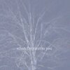 Treez、JUT - when i'm next to you (feat. JUT)(Explicit)