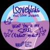 lovebirds、Stee Downes《Want You In My Soul (Radio Edit)》[MP3/LRC]