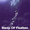 Michael Davis - Sleep Of Flashes