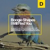 Boogie Shapes - I Will Find You (Original Mix)