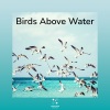 Birds Above Water、Hypnosis Nature Sounds Universe - Being mindful