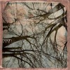 Noon - Juno