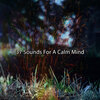 Yoga Workout Music - Freshly Enlightened