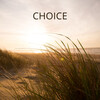 Stephey - Choice