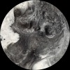 Pedro Pina - Peakoil (Original Mix)