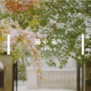 Moy - 路小雨
