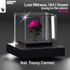 Lost Witness、Tracey Carmen《Did I Dream (Song To The Siren)(Tiësto Remix)》[MP3/LRC]