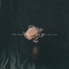 Simon Peter - the older you get, the less you cry