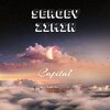 SergeyZimin - Capital