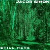 Jacob Simon - Spitting Lies
