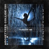 Archetypes Collide - Forgive Me