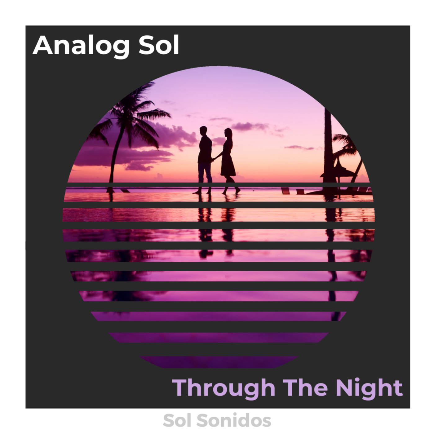 Analog Sol - Through The Night (Instrumental Club Mix)