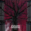 Radien - Näkijä
