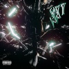 ch1tkey、Wiki Young - i can feel my (feat. wikiyoung)