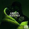 the fool - GREENSLEEVES (Explicit)