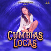 Cumbia Hits、Cumbias Locas - Amor De Verano