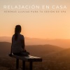 Ruido de Meditación、Meditación Con Ruido Rosado、Jazz Ambiente《Sensaciones Mágicas》[MP3/LRC]